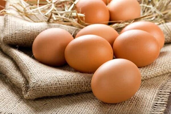افزایش ریسک بیماری های قلبی با مصرف روزانه بیش از دو تخم مرغ