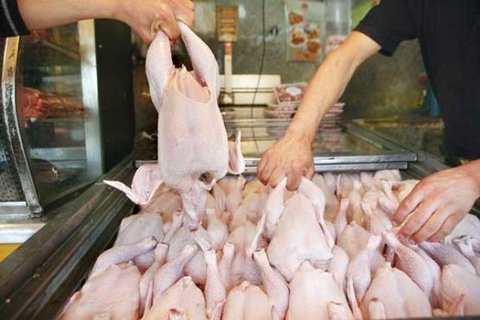 ثبات نرخ مرغ در بازار/قیمت واقعی هر کیلو مرغ گرم ۱۴ هزار تومان