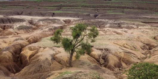 سالانه در ایران ۲ میلیارد تن خاک فرسایش می‌شود