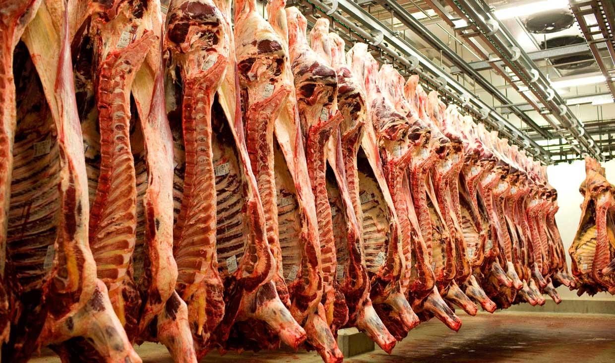 کاهش ۳ هزار تومانی نرخ گوشت در بازار/قاچاق دام مهار شد