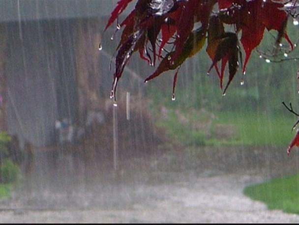 بارش کشور از ۳۱۰ میلی متر فراتر رفت/استان لرستان رکوردار بالاترین میزان بارش در سال زراعی جدید