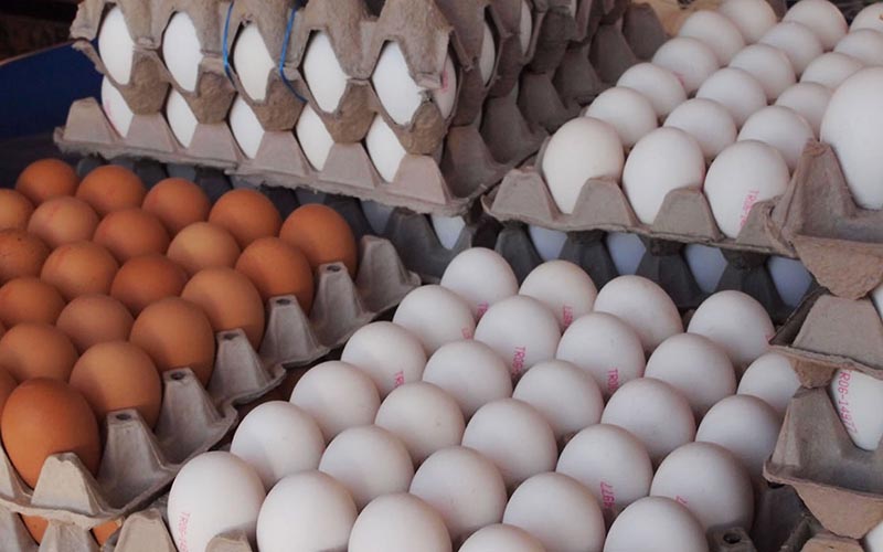 مازاد تولید بر افت قیمت تخم مرغ در بازار دامن زد/قیمت هر کیلو تخم مرغ ۶ هزار و ۴۰۰ تومان
