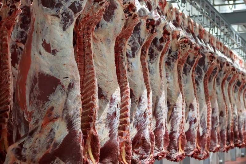۳۰۰ هزار تن گوشت قرمز برای تأمین نیاز کشور ثبت سفارش شد
