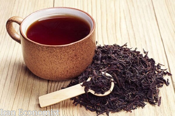 افزایش ٨٠ هزارتومانی قیمت چای خارجی