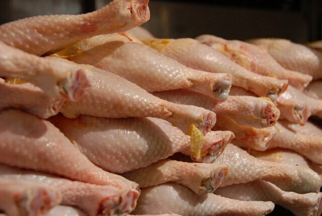 افزایش قیمت گوشت مرغ توسط مرغداران تخلف است