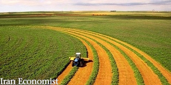 جذب ۲۰۰ میلیارد تومان اعتبار برای توسعه مکانیزاسیون کشاورزی در سال جاری