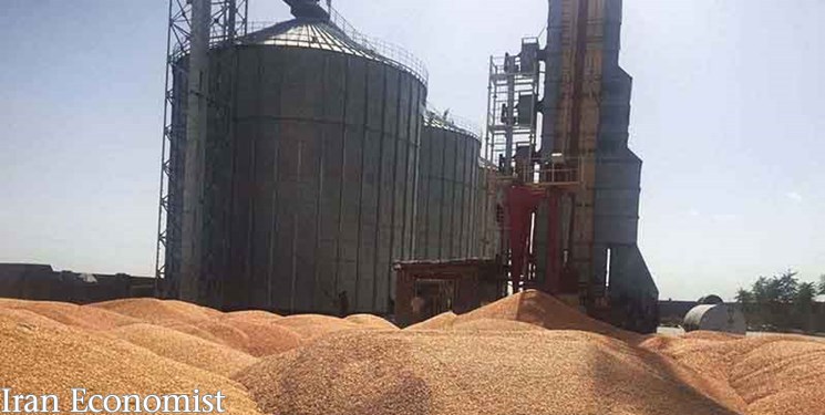 خرید تضمینی 7 میلیون تن گندم در کشور/17 درصد مطالبات گندمکاران پرداخت نشده است