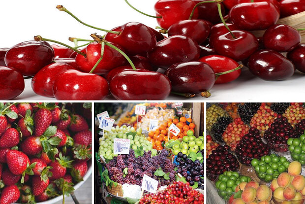 ریزش ۴۰ درصدی قیمت میوه‌های تابستانه در بازار/کمبودی در عرضه نداریم