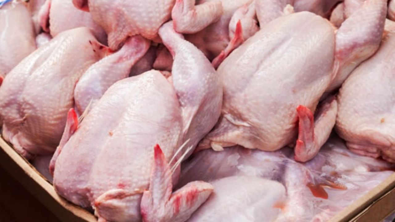 عمده دلایل ضعف عرضه مرغ در بازار