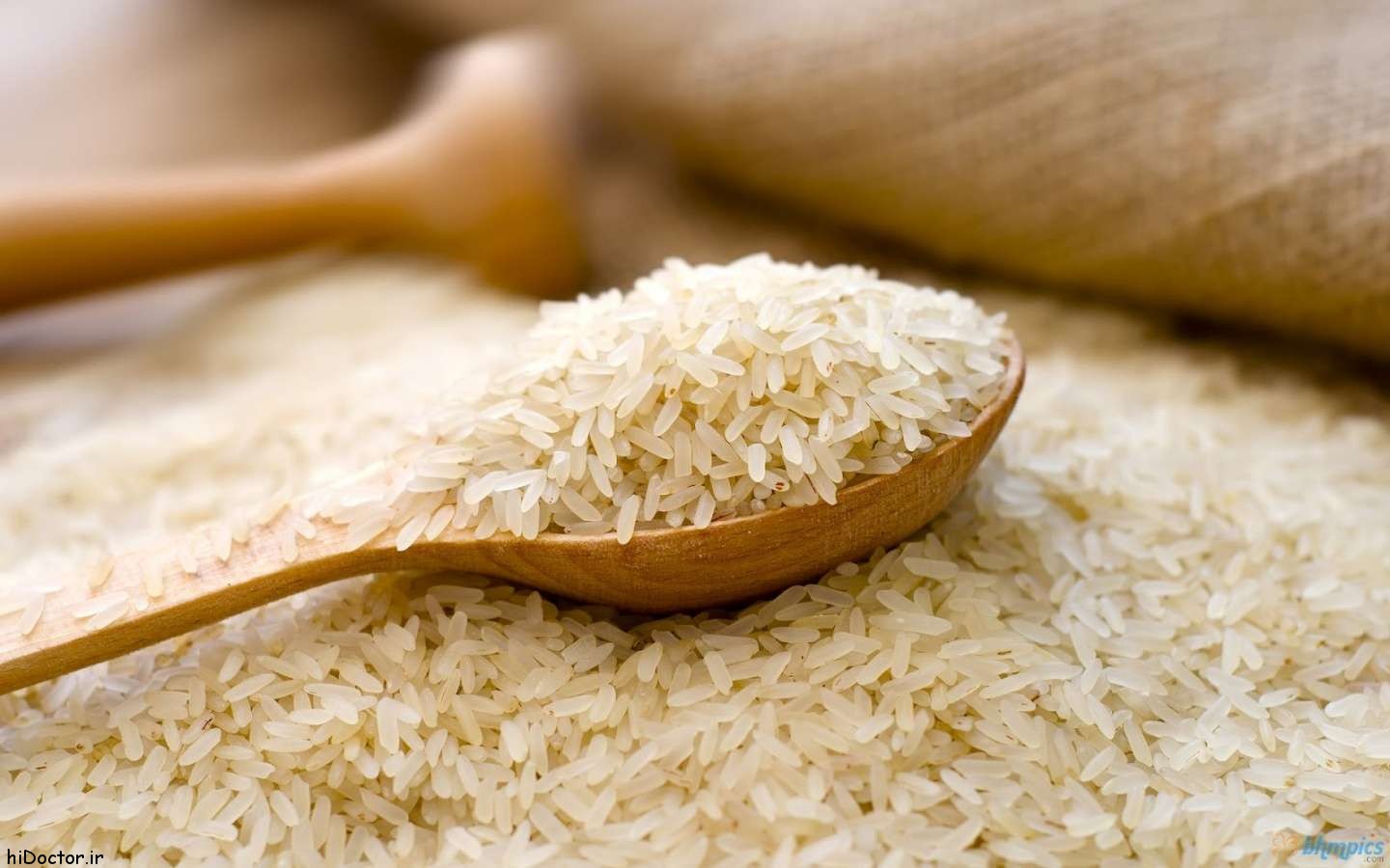 تولید برنج به ۲ میلیون و ۳۰۰ هزار تن می‌رسد/ افزایش ۲۰ درصدی هزینه‌های تولید بر قیمت برنج ایرانی اثر گذار خواهد بود