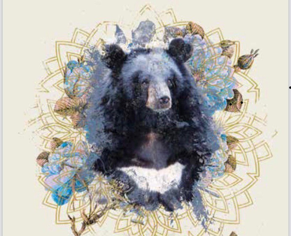 مدال خرس سیاه بلوچی تولید می‌شود