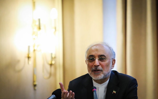 صالحی: ایران در طول برجام ۲۴ تن اورانیوم را غنی‌سازی کرد