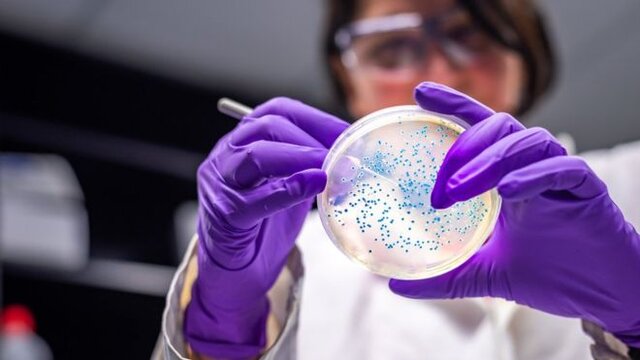 گسترش باکتری‌های مقاوم به دارو در بیمارستان‌های اروپا