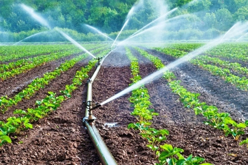 جایزه بین‌المللی صرفه‌جویی آب کشاورزی به پژوهشگران ایرانی رسید