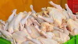 محبی / جهش 150 تومانی نرخ مرغ در بازار / قیمت مرغ به 13 هزار و 500 تومان رسید
