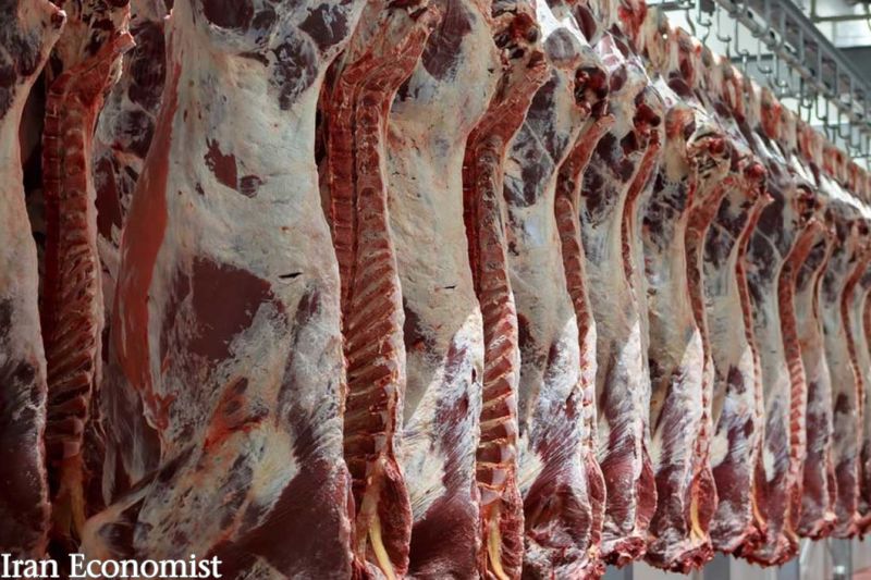 میدان داران اجازه کاهش قیمت گوشت را نمی‌دهند