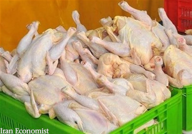 پیش بینی عبور تولید گوشت مرغ کشور از مرز ۲.۵ میلیون تن در سال جاری