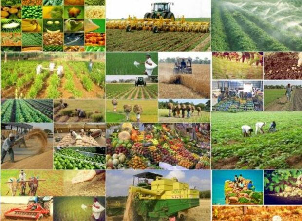بهره برداری از ۲۶۱۶ طرح عمرانی و تولیدی بخش کشاورزی