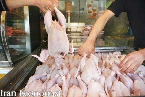 نوسان ۳۰۰ تومانی نرخ مرغ در بازار