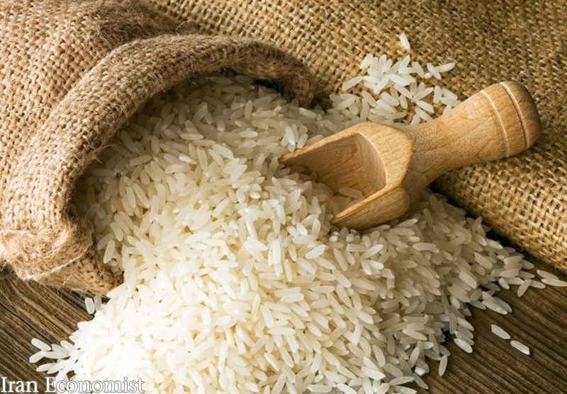 پیش بینی افزایش تولید برنج به ۲.۶ میلیون تن/ تولید پنبه ۷۰ درصد افزایش می‌یابد