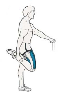 علت خشکی و التهاب مفاصل ستون فقرات/ تاثیر تقویت عضلات مرکزی در بهبود ساختار قامتی