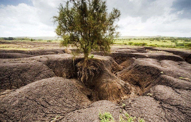 سالانه یک میلیارد تن خاک کشور دچار فرسایش می‌شود