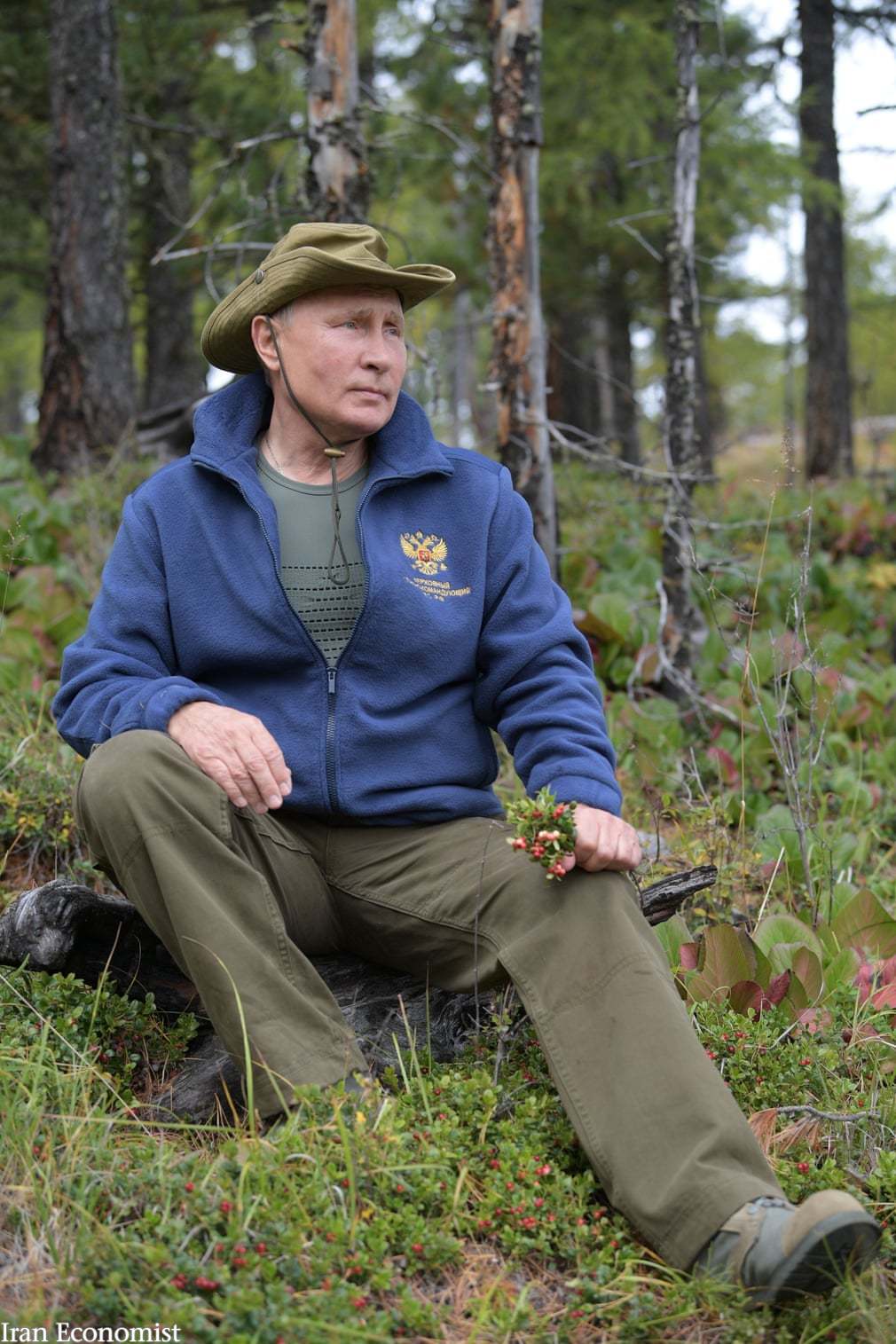 از نهال کاری نخست وزیر کانادا تا گشت‌و‌گذار پوتین در جنگل
