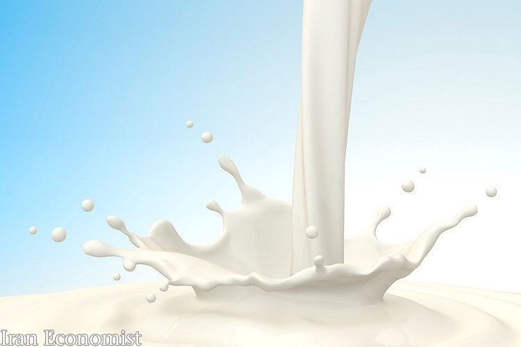 همه بایدها و نبایدها در رابطه با شیر خام
