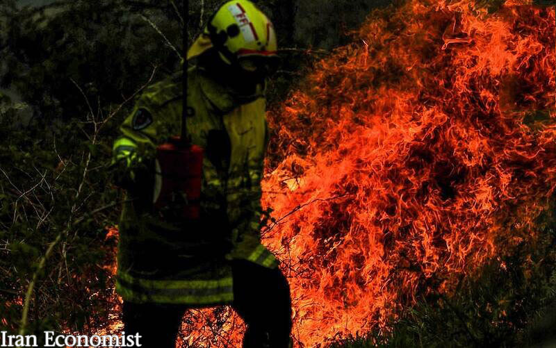 تصاویر | آتش‌سوزی استرالیا به یک قدمی سیدنی رسید