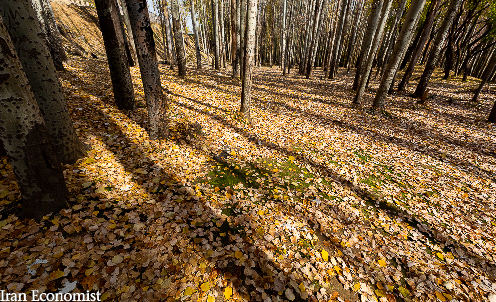 تصاویر: پاییز هزار رنگ، زیبا‌ترین فصل خدا