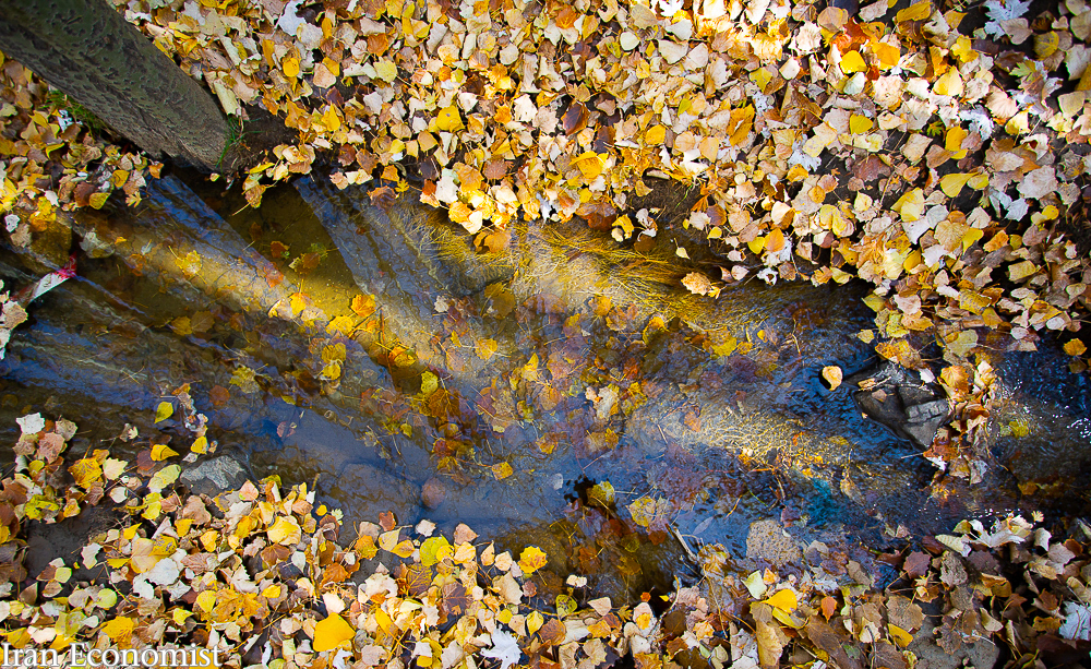 تصاویر: پاییز هزار رنگ، زیبا‌ترین فصل خدا