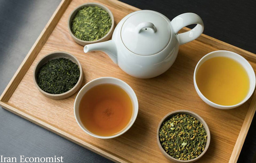 چای سبز بنوشیم یا سیاه میزان کالری یک فنجان چای چقدر است