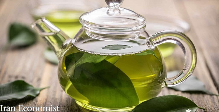 چای سبز بنوشیم یا سیاه میزان کالری یک فنجان چای چقدر است