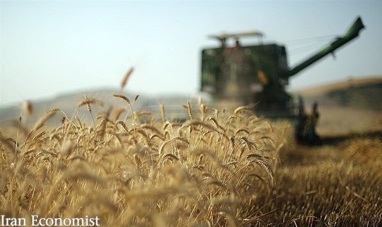 ۷۰ شرکت بین‌المللی غلات و دانه‌های روغنی در راه ایران