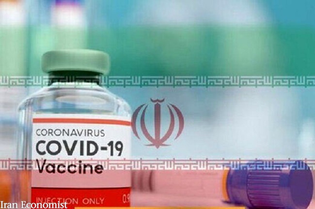 واکسن کووید 19 مشترک ایران و کوبا بدون عوارض