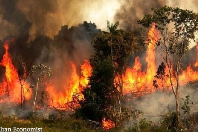 کمک نیروهای ارتش برای مهار آتش سوزی جنگل گلستان