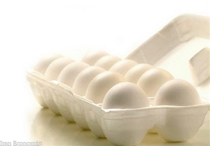 عرضه تخم مرغ بسته بندی به انجمن واگذار شد