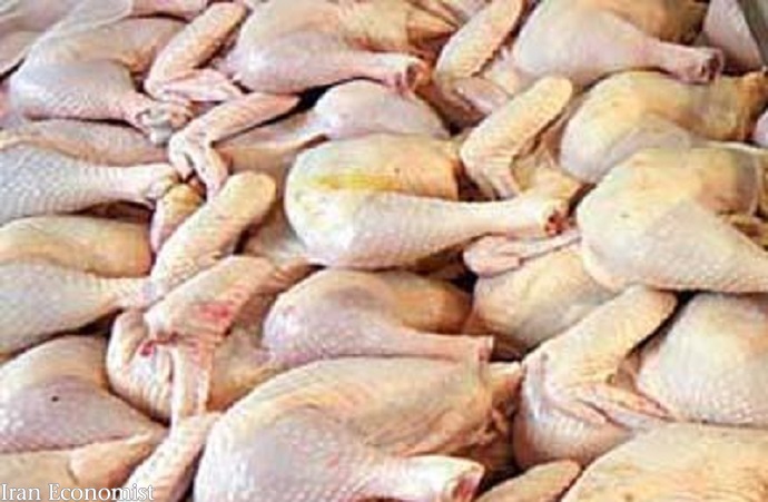 وعده چندباره وزارت جهاد برای کاهش قیمت مرغ