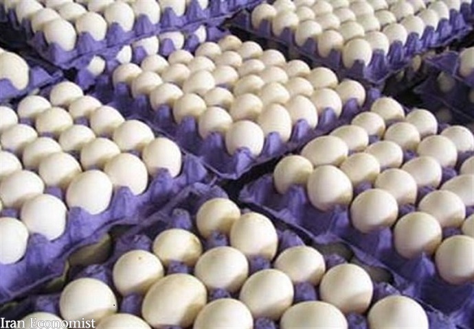 کاهش ۳۰۰۰ تومانی قیمت هر شانه تخم مرغ
