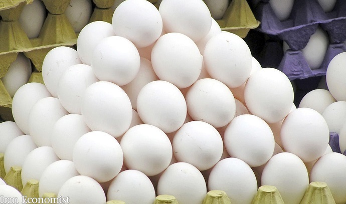 سالمی در گفت‌وگو با باشگاه خبرنگاران جوان:محدودیتی در عرضه تخم مرغ با نرخ مصوب وجود ندارد