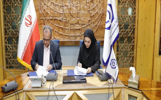 پشتیبانی صندوق ضمانت صادرات ایران از توسعه صادراتی صنعت آب و برق