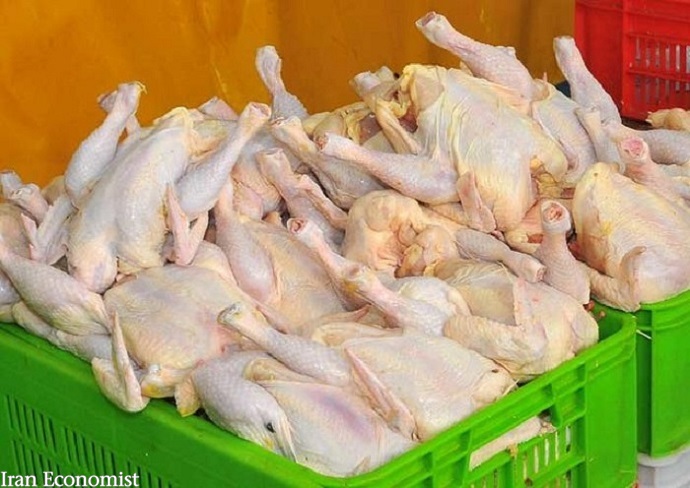 سرانه مصرف مرغ در ایران، ۲ برابر میانگین جهانی