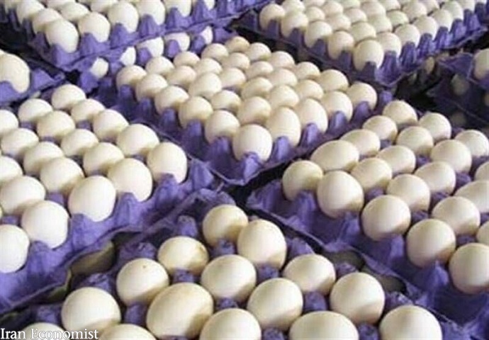 احتمال واردات تخم مرغ در صورت تداوم شرایط فعلیاحتمال واردات تخم مرغ در صورت تداوم شرایط فعلی