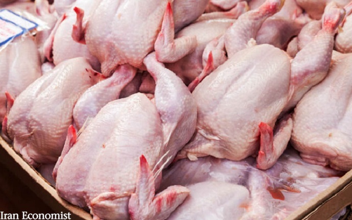 قیمت مرغ تا ۱۰ روز آینده تعدیل می‌شودقیمت مرغ تا ۱۰ روز آینده تعدیل می‌شود