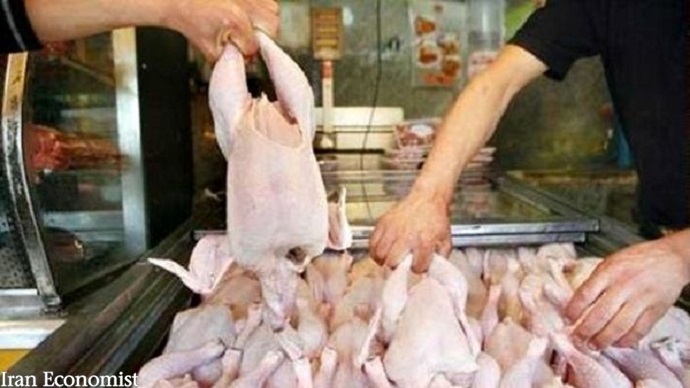 توزیع روزانه ۹۵۰ تن مرغ با قیمت مصوبتوزیع روزانه ۹۵۰ تن مرغ با قیمت مصوب