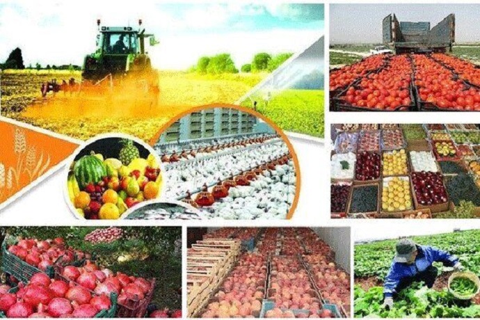 رشد اقتصادی بخش کشاورزی ۱.۷ درصد ثبت شد