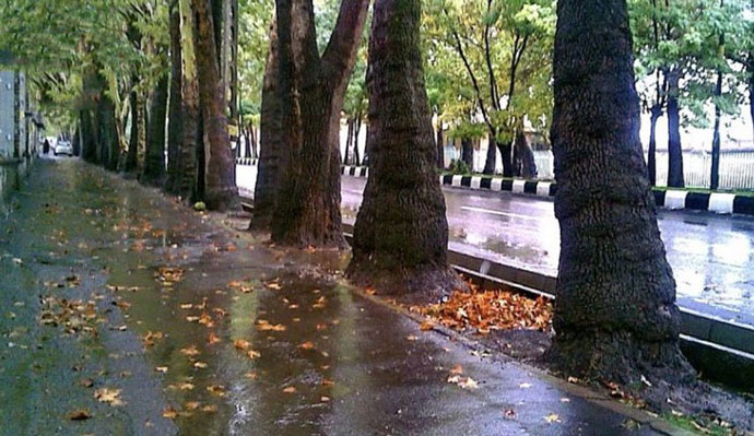 ببینید| تهران بارانی