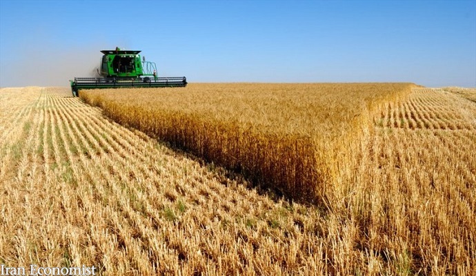 افزایش درآمد کشاورزان با توسعه شرکت‌های سهامی زراعی