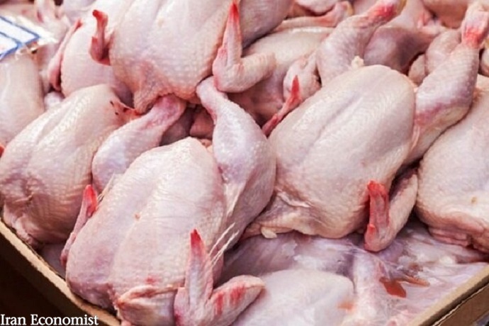 قیمت مرغ در بازار به زودی به نرخ مصوب نزدیک می‌شود