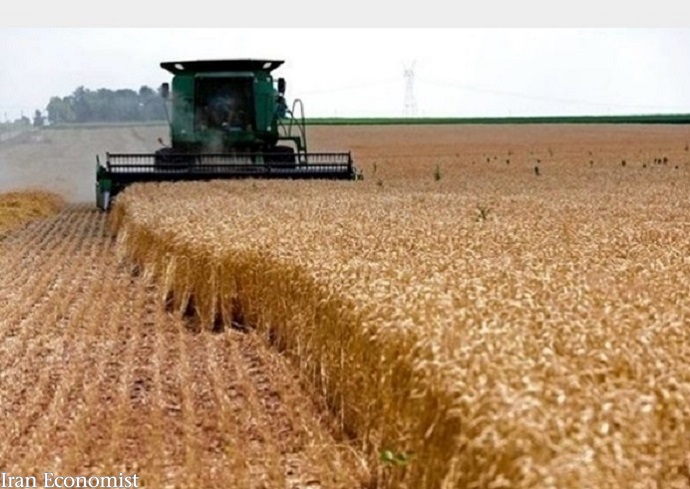 نرخ جدید، میزان خرید گندم در کشور را ۲ میلیون تن افزایش می‌دهد